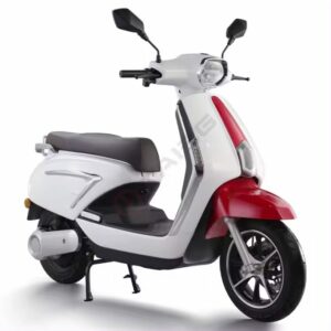 TAIBG High Performance Adult 2 Wheel 800w Popular Scooter Electric 30MPH